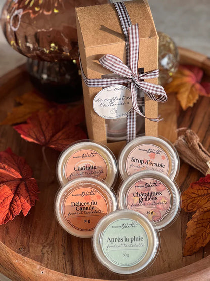 Lot de 3 produits - COLLECTION AUTOMNE