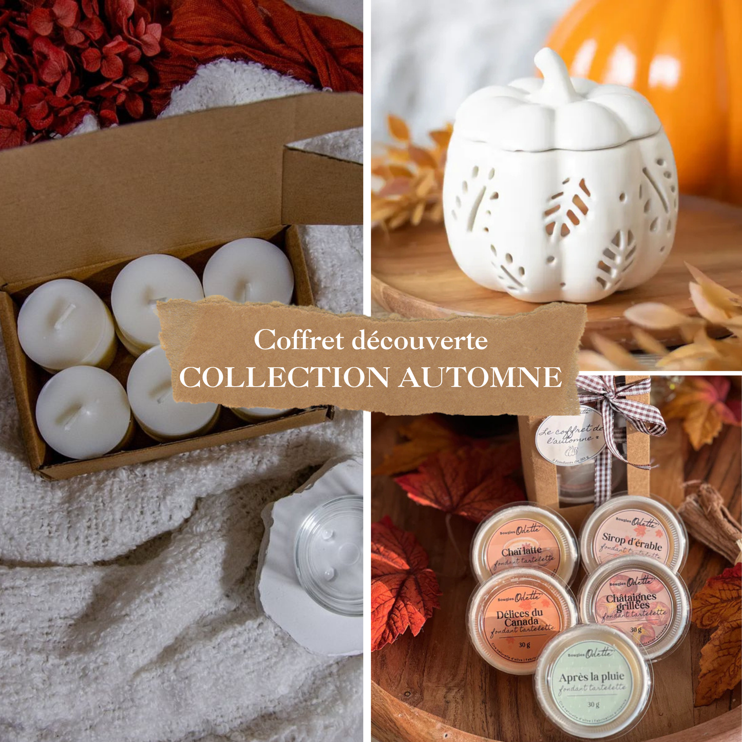 Lot de 3 produits - COLLECTION AUTOMNE